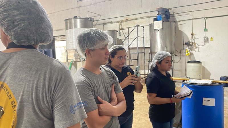 Factory production team in Yucatan